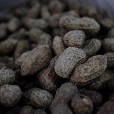 干果杏仁的功效与作用 干果杏仁营养价值有哪些