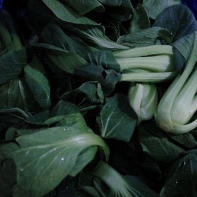 小白菜的功效与作用 小白菜营养价值有哪些