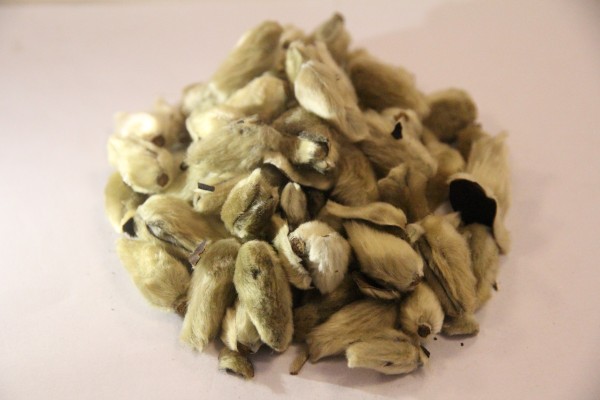 吲哚美辛呋喃唑酮栓云南白药哪个好 大便出血吃什么药