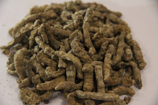 中药杜仲的功效和作用 中药杜仲现代应用方法有什么