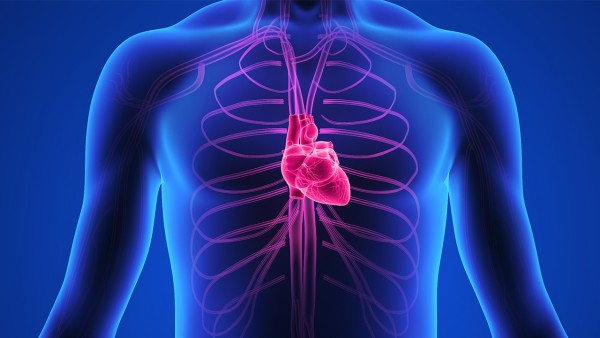 柏子滋心丸不良反应 柏子滋心丸和柏子养心丸一样吗