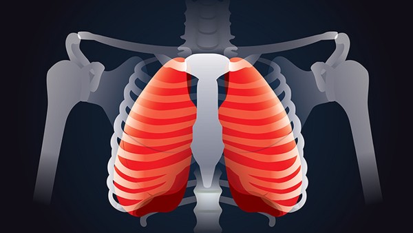 肺热咳嗽吃什么好 肺热咳嗽的食疗方法