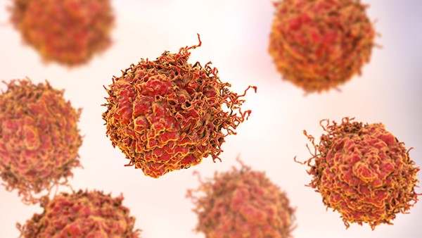 抗原检测C、T处两条杠是什么意思