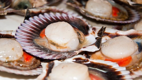 珍珠母的功效与作用 珍珠母现代应用方法有什么