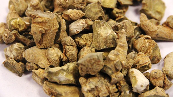 田三七的功效 田三七现代应用方法有什么