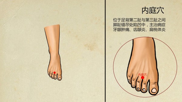 跟风囤连花清瘟有必要吗？中医专家指出还可以备这些药