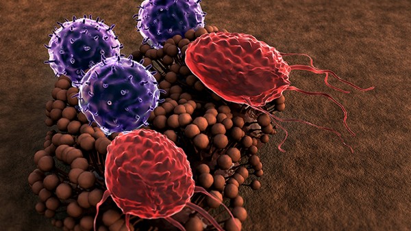 小儿抗病毒中药哪些好 推荐几种小儿常用好用的抗病毒中成药