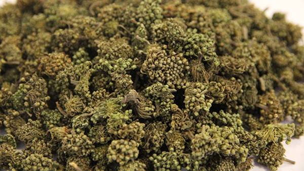 三七花的作用和功效 三七花营养价值有哪些