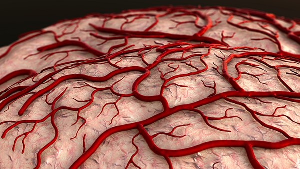 一清片是抗病毒的药吗 一清片的副作用大不大
