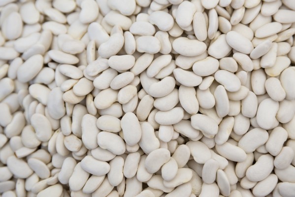 白芸豆能减肥吗 吃白芸豆需要注意什么
