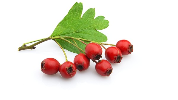 结节少吃的食物 结节慎食哪几种食物