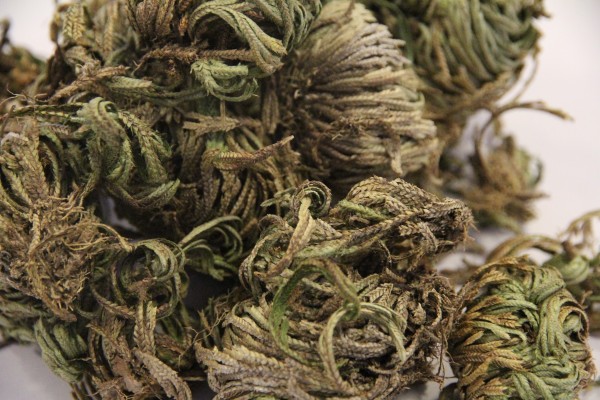 什么中药治性功能最好，如何能提高性功能如果服用中药调理用什么比较好