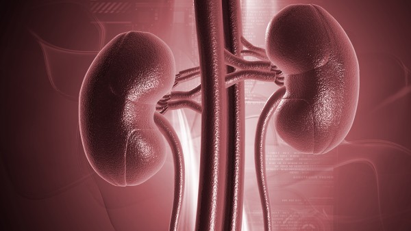 肾复康片效果好吗 肾复康片能治好肾炎吗