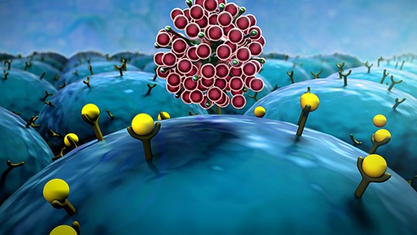 对乙酰氨基酚口服溶液的老年患者用药是怎样呢？