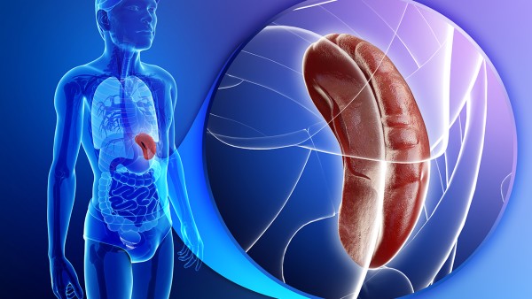 補(bǔ)脾益腸丸多久一療程？吃幾個(gè)療程？