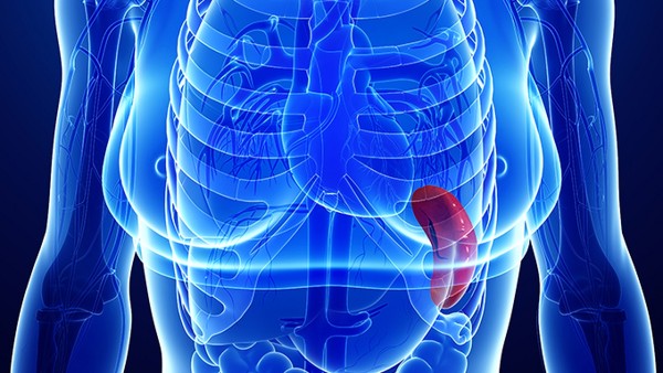 温脾固肠散吃多久一疗程？温脾固肠散能长期吃吗？