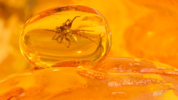 琥珀酸索利那新片的儿童用药是怎样呢？