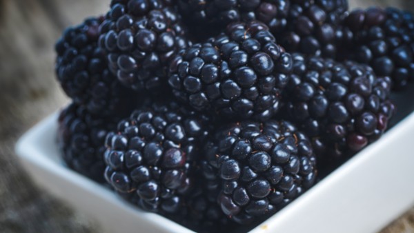 清宫长春片效果好吗 酒泡什么补肾壮阳效果好