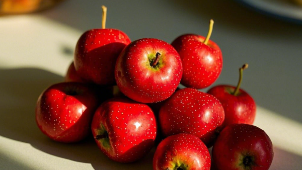 杜仲降压片效果好吗 杜仲平压片和杜仲降压片哪个效果好