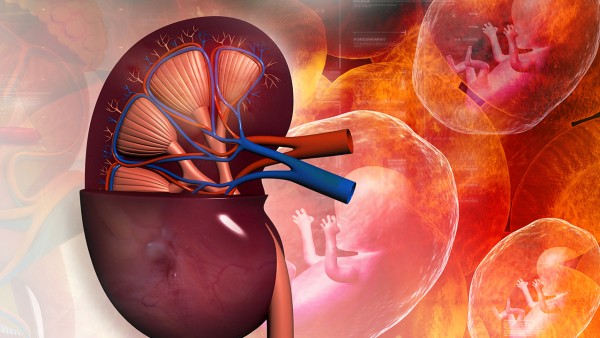 金匮肾气丸多久一疗程?金匮肾气丸一般建议吃多久?