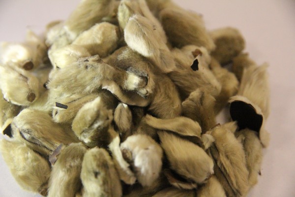 追风舒经活血片是中药组成吗?长春新宇制药刻康追风舒经活血片能和小柴胡颗粒一起吃吗