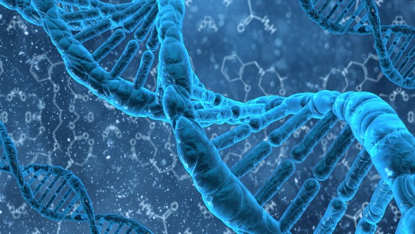 富马酸替诺福韦二吡呋酯片(韦瑞德)用法用量是怎样的?