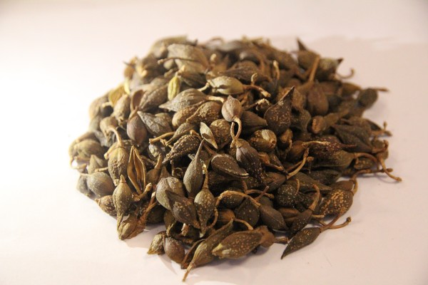 中醫(yī)的食療王牌方幫你止咳 治咳枇杷合劑能和小柴胡顆粒一起吃嗎