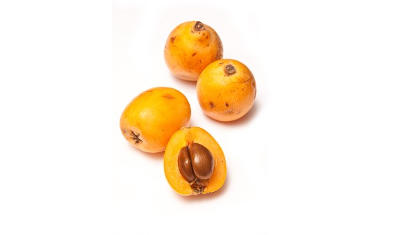 除痰止嗽丸效果怎么样 除痰止嗽丸效果好吗