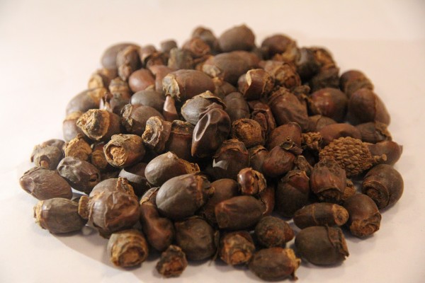 药师解读小儿用药禁区 陈药师解读