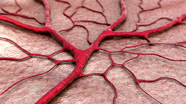 苯磺酸氨氯地平分散片成分有什么？苯磺酸氨氯地平分散片用法用量