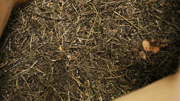 晚上干咳无痰吃什么药效果好 清咽滴丸效果好吗