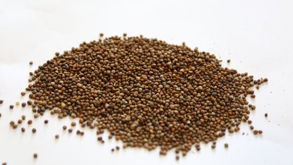 鹭鸶咯丸一天吃几次？一次吃多少？