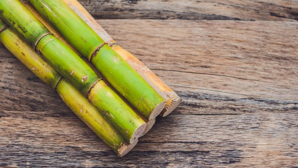 同仁大活络丸的功效与作用 同仁大活络丸效果好吗