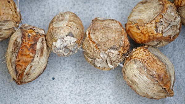 婦炎康片有什么功效 婦炎康片效果好嗎