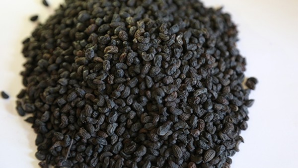 如何科学服用蒙脱石散 教您如何安全服用药物