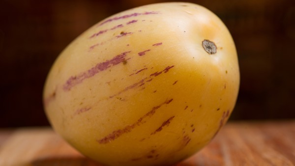 蒙脱石散止泻效果好不好 家用药箱需要准备什么