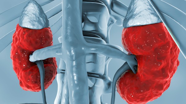 肾宝片吃过量会怎么样 肾宝片一次吃多少片?