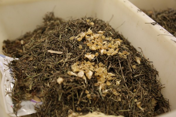 婴幼儿腹泻可以服用蒙脱石散吗 婴幼儿日常用药大全