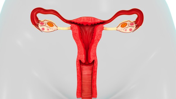 重组人干扰素α2b凝胶怎么用？重组人干扰素α2b凝胶的用法用量是多少？