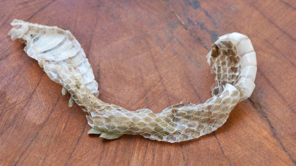 苯磺酸氨氯地平片如何联合用药 该药有11种联合用药方案