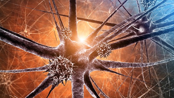 新冠患者居家应如何用药 感染了新冠病毒居家隔离这样用药