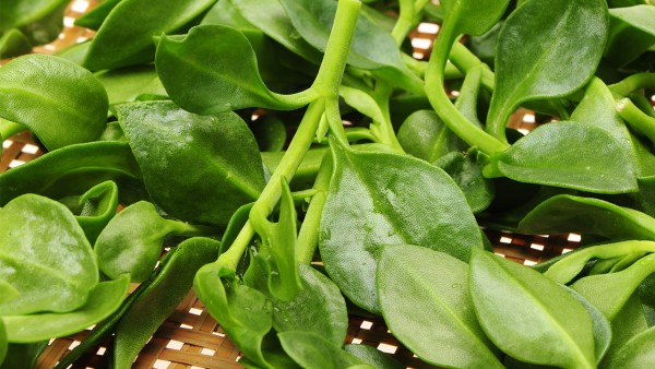 复方穿心莲片和氨咖黄敏胶囊联用好吗？清感穿心莲胶囊能和乙酰氨基酚片一起吃吗