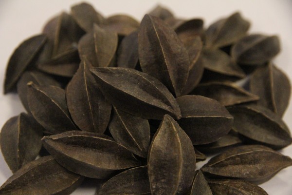 抗原阳了在家怎么用药 居家新冠服药指南