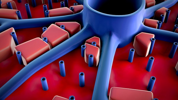 乳酸菌素片能治疗新型冠状病毒肺炎？丁桂开开喂乳酸菌素片对新冠肺炎有效果吗