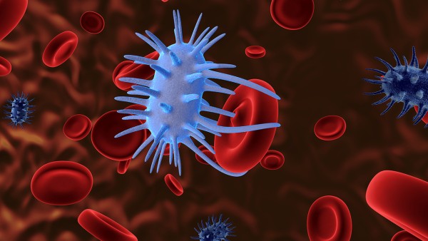 清热消炎宁胶囊能和金花清感颗粒一起吃吗 新冠病毒感染者居家该如何用药？