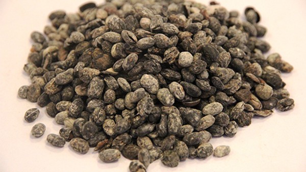 布洛芬和豉翘能不能同时吃 小儿豉翘清热颗粒和布洛芬可以一起吃吗