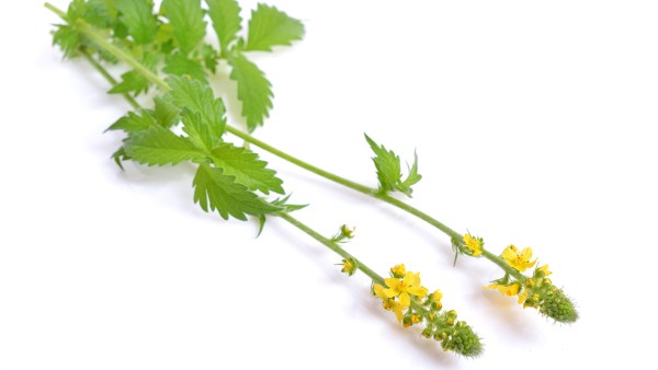 肠炎能不能引起后腰疼 复方仙鹤草肠炎片与布洛芬可以一起吃吗