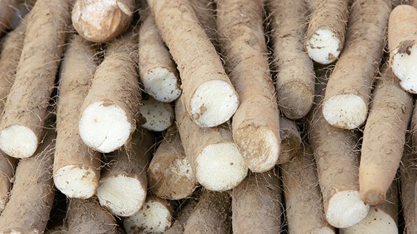 老年人用药“抠门”点 老年人家里常备药