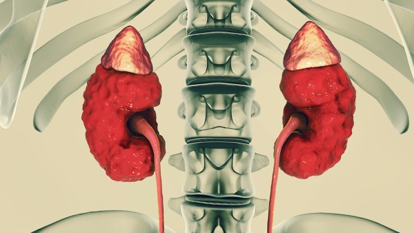 小心乱用药引发肾病 慢性肾炎要吃一辈子药吗