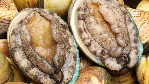 蒙脱石散双倍剂量行吗 海鲜吃多了肚子疼怎么用药